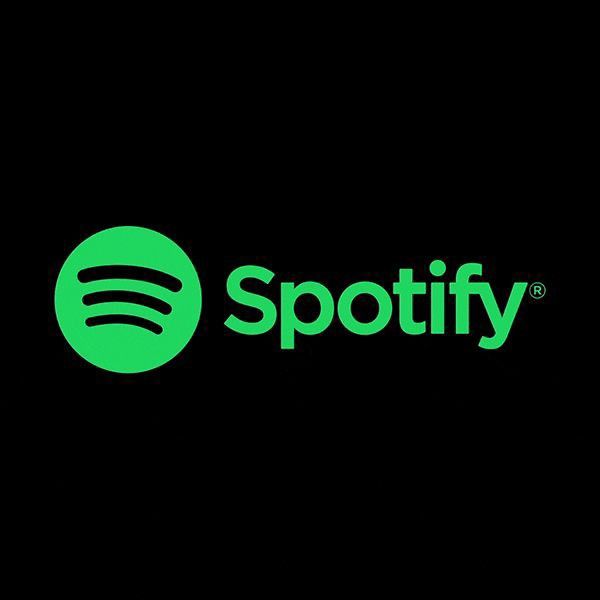 SPOTIFY PREMIUM 12 MESES